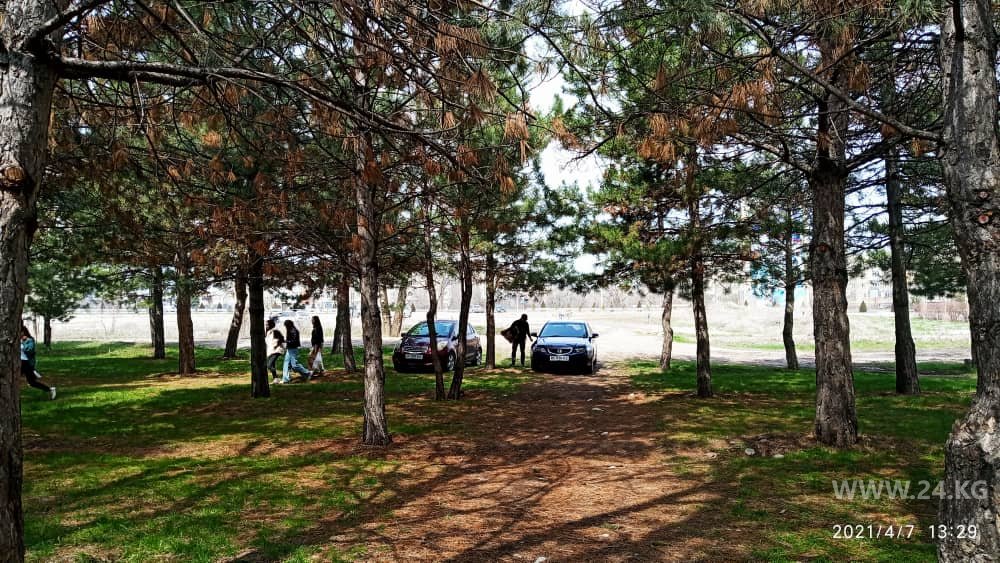 читателя 24-kg.com