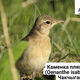 Фото NABU-Кыргызстан