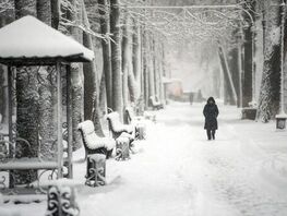 24-январга карата аба ырайы 