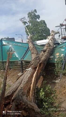 пресс-службы мэрии Бишкека