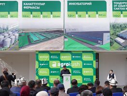 &laquo;Тойбосс&raquo; расширяет производство и&nbsp;укрепляет продовольственную безопасность 