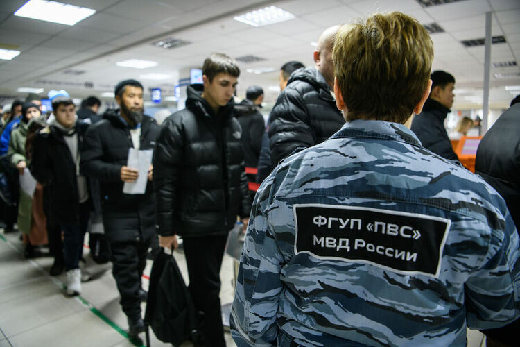 иллюстративное