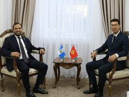 Ambassador of Guatemala presents credentials to Deputy Foreign Minister 