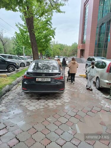 читателя 24-kg.com