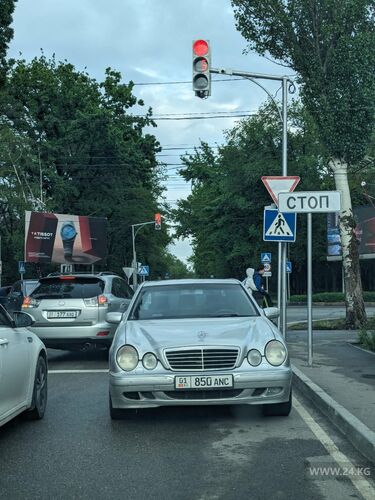 читателя 24-kg.com