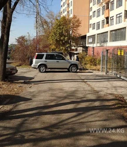 читателя 24-kg.com