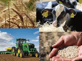 Kyrgyzstan postpones agricultural census