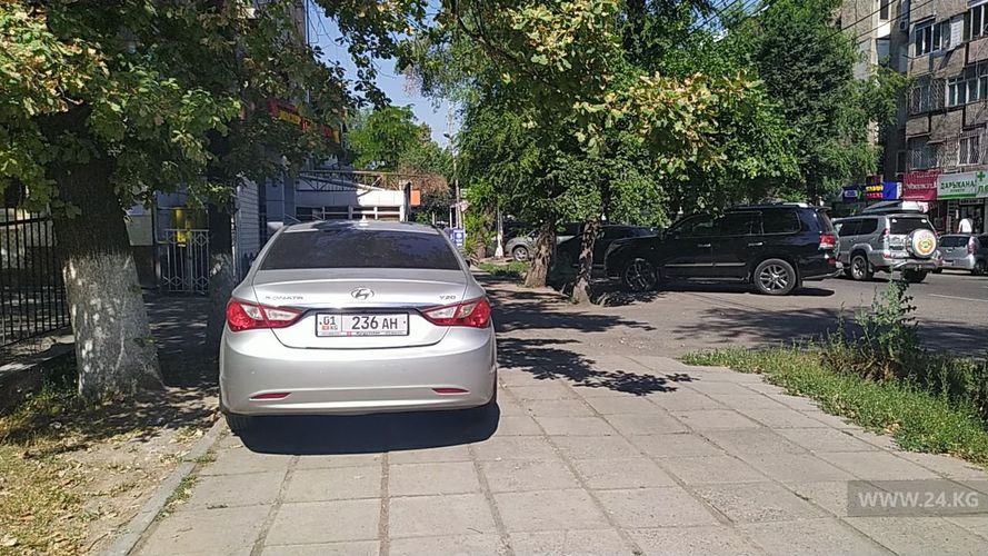 читателя 24-kg.com