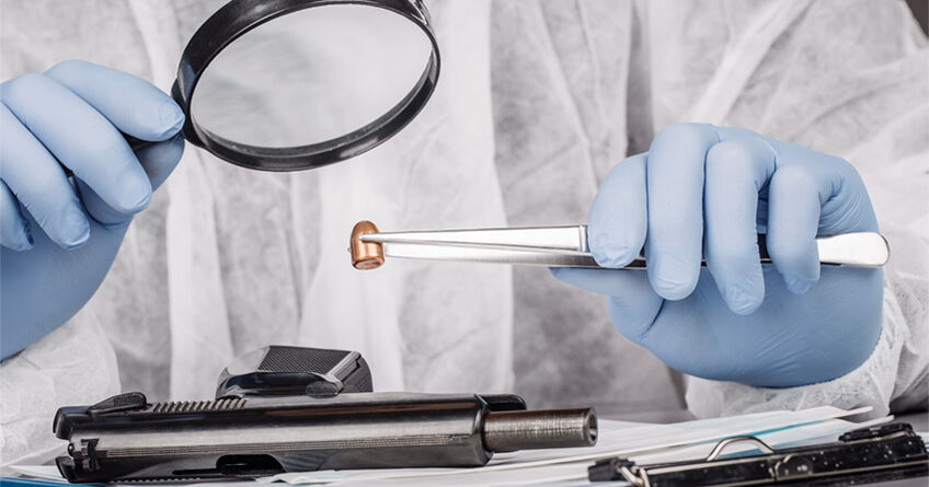 ГКНБ получит право проводить экспертизы и&nbsp;расследования на&nbsp;договорной основе 