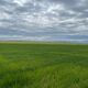 Фото предоставлено Гулбарой Оморовой