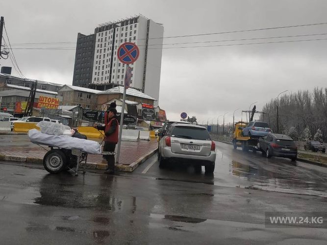 читателя 24-kg.com