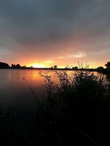 Людмилы Деловой