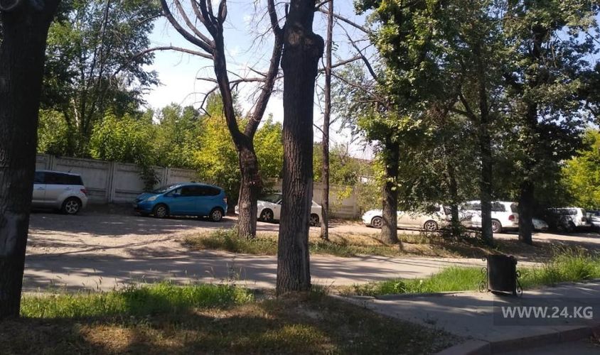 читателя 24-kg.com