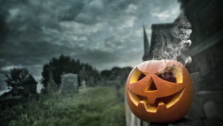 из интернета