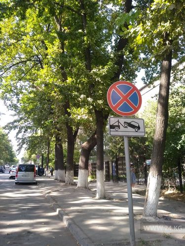 читателя 24-kg.com