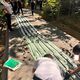Фото УКМК. Чаткал районунда токой чарбасынын башчысы пара алып жаткан жеринен кармалды