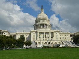 Полный запрет с&nbsp;1&nbsp;января на&nbsp;въезд в&nbsp;США для граждан семи государств ввел Трамп 