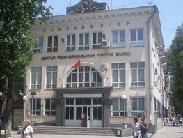 National Bank of Kyrgyzstan discloses 2025 currency intervention figures