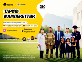 Beeline представляет выгодный тариф для госслужащих &laquo;Мамлекеттик&raquo; 