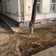 Фото 24-kg.com. Ели возле здания Верховного суда вырубили