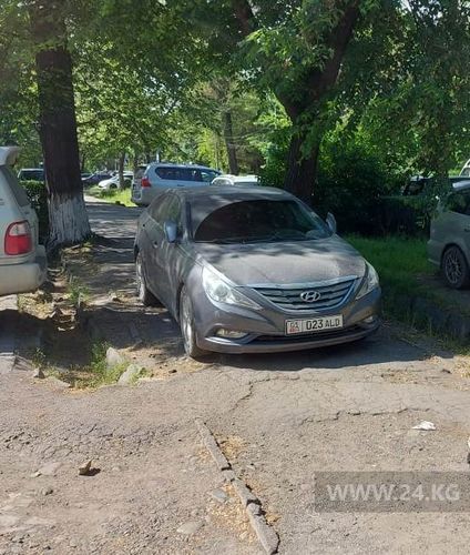 читателя 24-kg.com