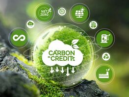 Kyrgyzstan intends to develop carbon credit market