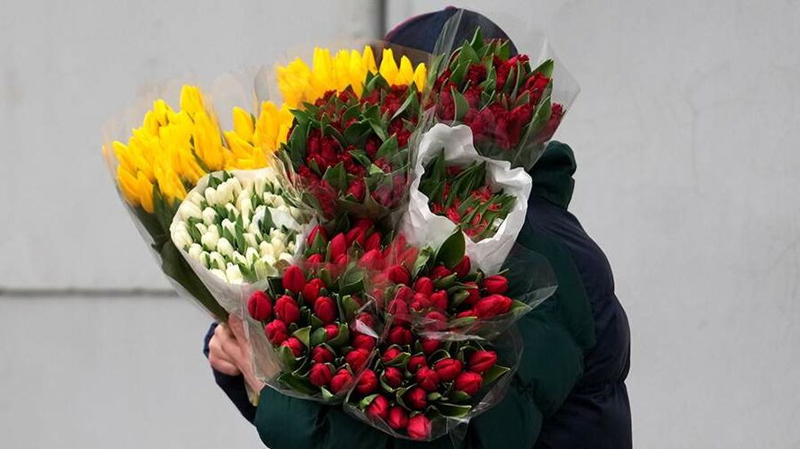 иллюстративное