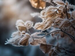 В&nbsp;Бишкеке ожидаются заморозки. Прогноз погоды на&nbsp;3-5 ноября 