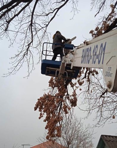 мэрии Бишкека