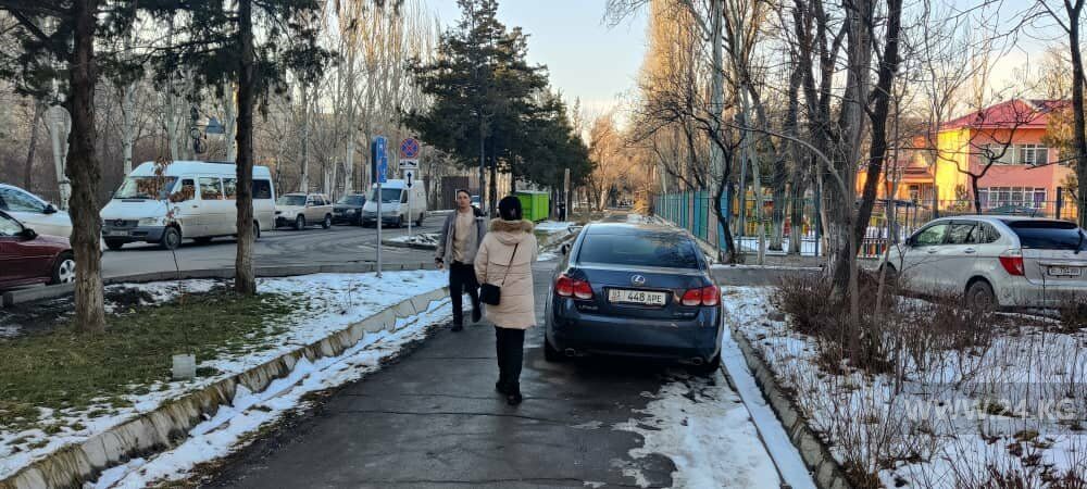 читателя 24-kg.com