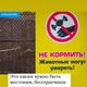 Фото Instagram. В Бишкеке в контактном зоопарке умер сурикат: посетители угостили его конфетами