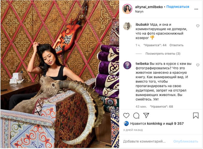 скриншот из Instagram