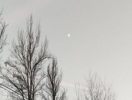 Пик Корона и&nbsp;луна над Бишкеком. Фото и&nbsp;видео читателей 24-kg.com 