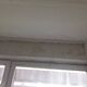 Фото родительницы