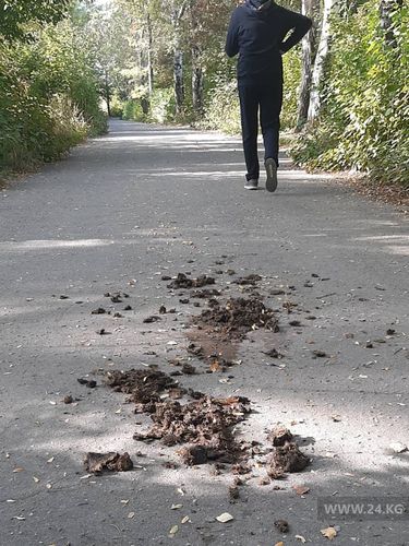 читателя 24-kg.com