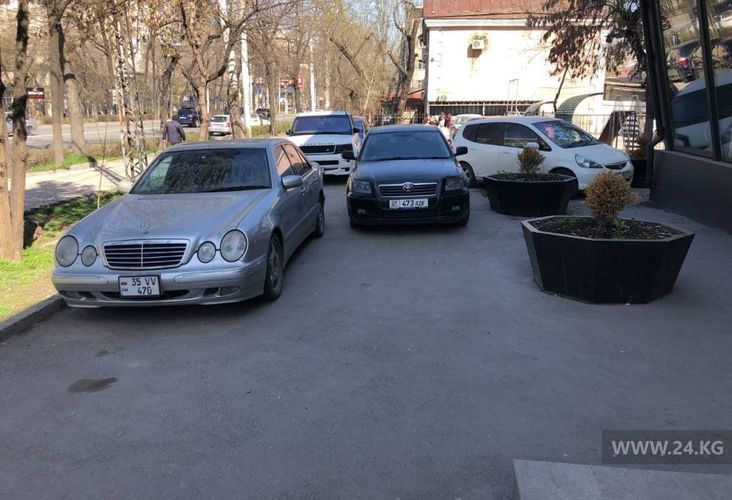 читателя 24-kg.com