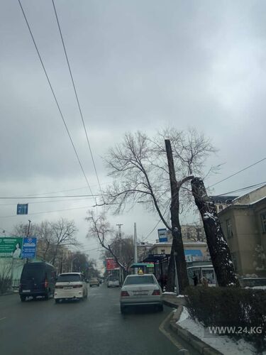 читателя 24-kg.com