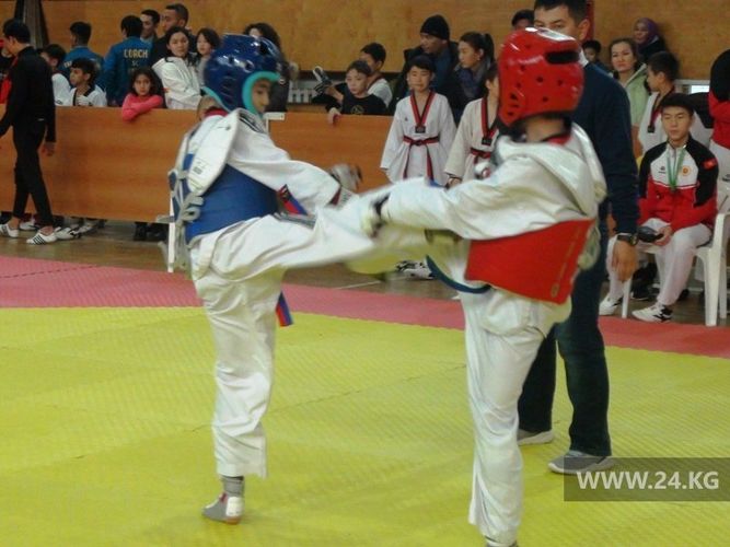24-kg.com