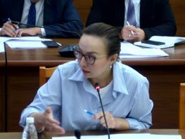 Приходят на&nbsp;работу только попить чай. Депутат о&nbsp;сотрудниках Минздрава 