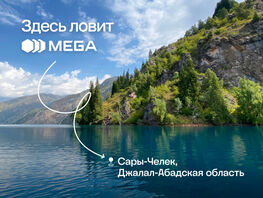 MEGA обеспечила 4G-связью заповедники Сары-Челек и&nbsp;Падыша-Ата 