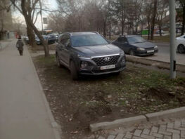 В&nbsp;Бишкеке некоторые водители думают, что можно оставлять авто на&nbsp;газонах 