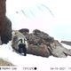 Фото Союза охраны природы Германии (NABU) в Кыргызстане
