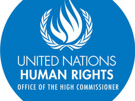 UN concerned about convictions of Rita Karasartova and Kloop Media employees