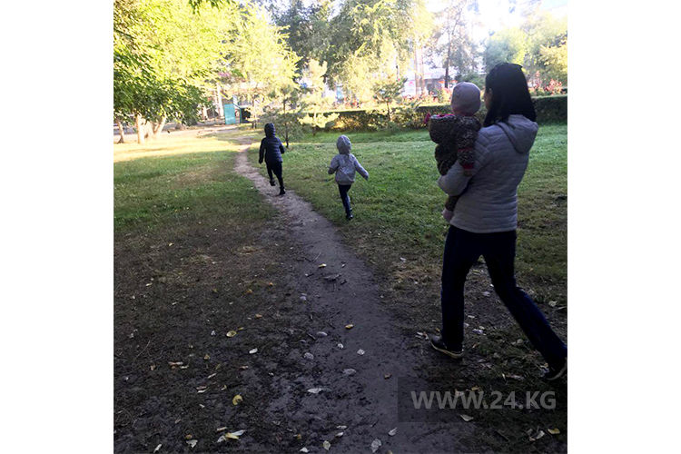 24-kg.com