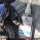 Фото 24-kg.com. Без этого набора сейчас нельзя выходить на улицу