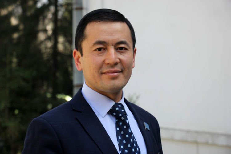 из интернета