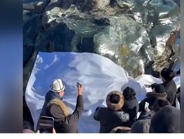 Ысык-Көл аймагында туристтер үчүн уникалдуу 180 тонналык нефрит ташы ачылды 