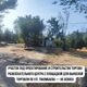 Фото мэрии Бишкека