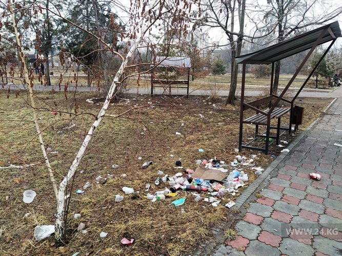 читателя 24-kg.com