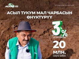 &laquo;Айыл Банк&raquo; асыл тукум мал чарбасы үчүн 3&nbsp;пайыз жеңилдетилген насыя сунуштайт 